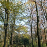 IMG_4728