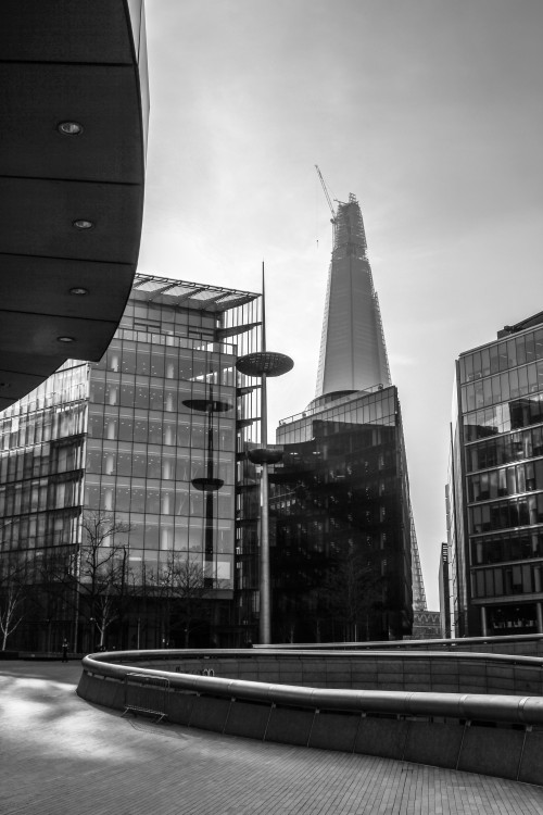 IMG_6913